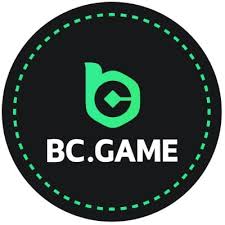 Complete Guide to BC.CO Registration