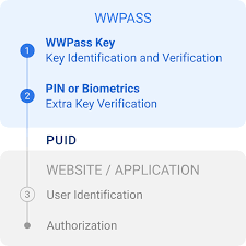 Unlocking Digital Security The Power of WWPass Key Set